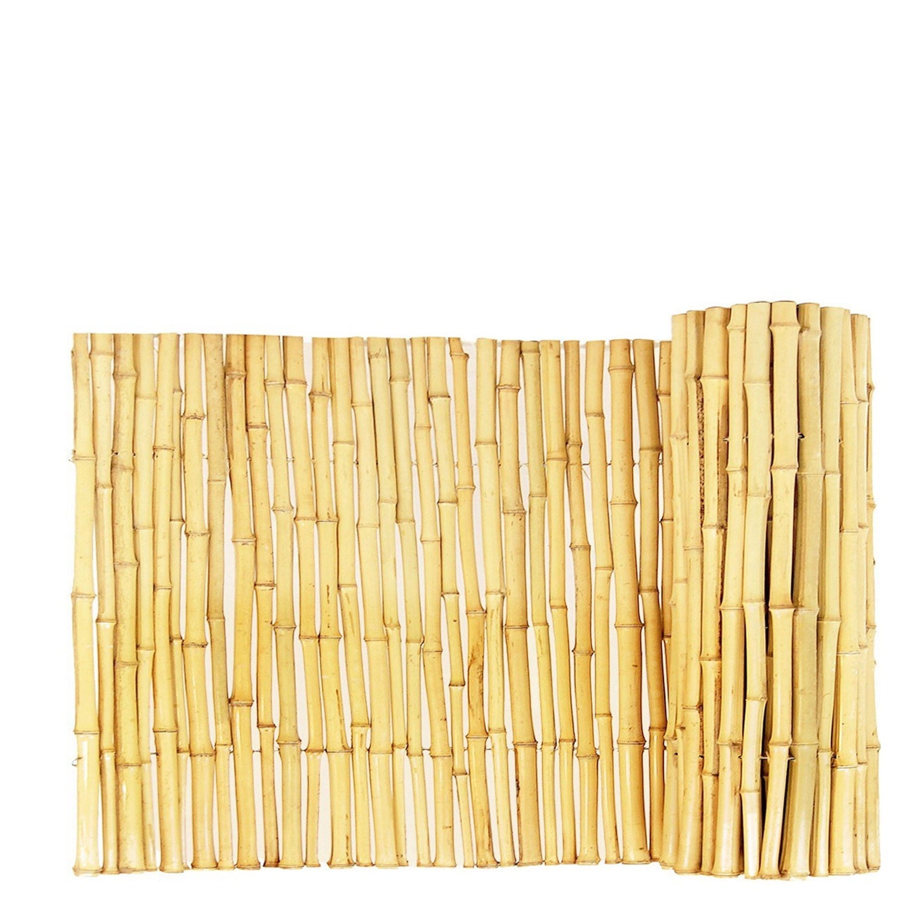 Backyard X-Scapes Natural Bamboo Fence Panel 3/4" D x 6' H x 8' L