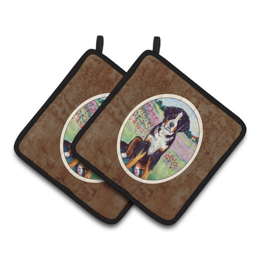 Bernese Mountain Dog Pair of Pot Holders