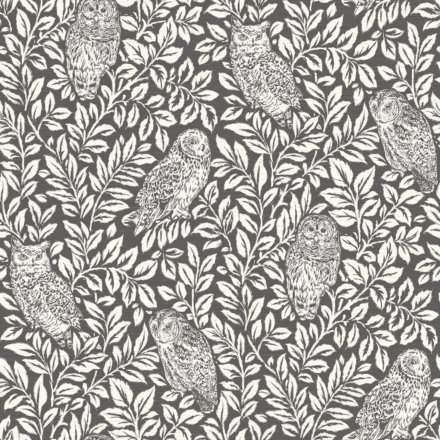 Chesapeake Parliament Brown Owl Prepasted Non Woven Blend Wallpaper, 20.5-in by 33-ft, 56.4 sq. ft.