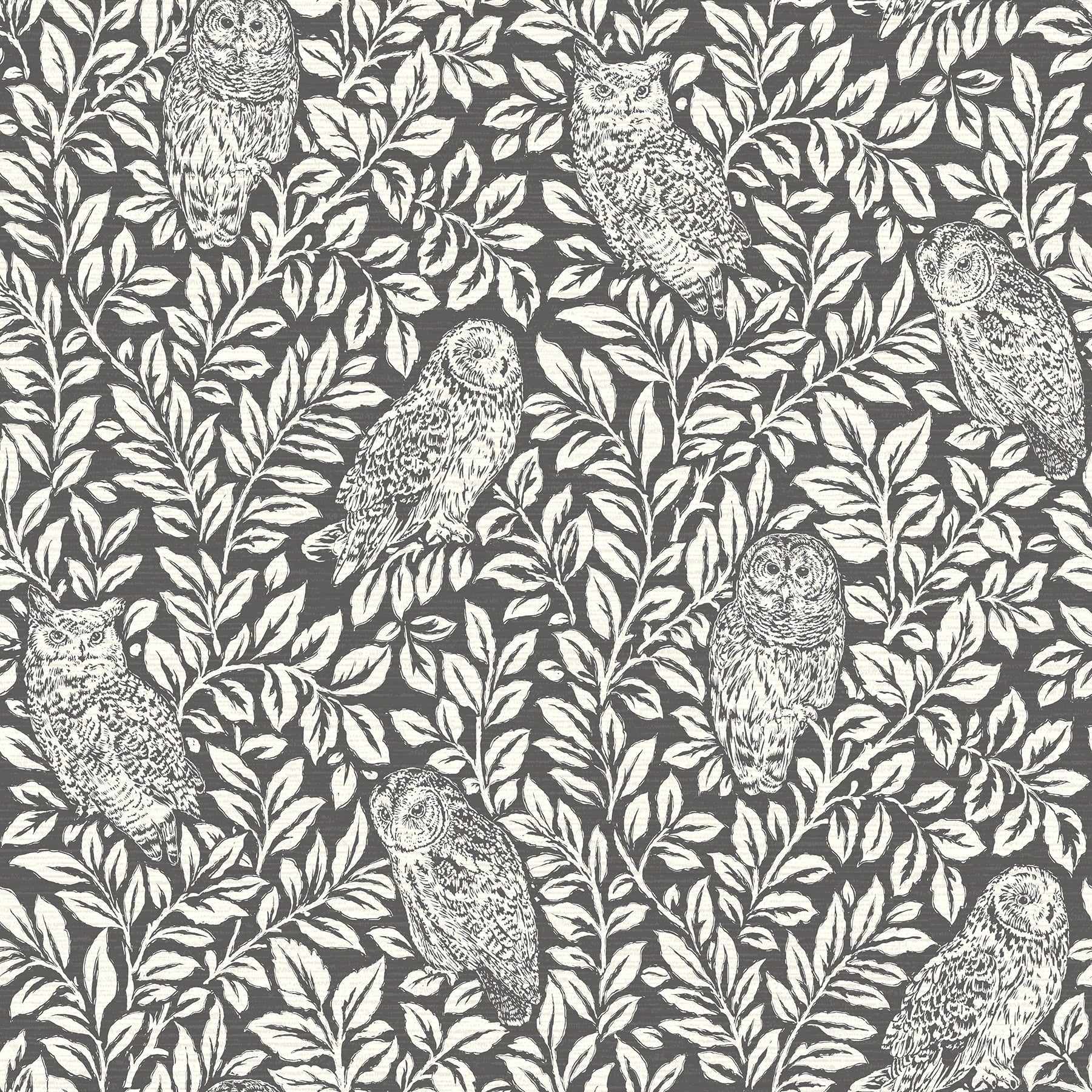 Chesapeake Parliament Brown Owl Prepasted Non Woven Blend Wallpaper, 20.5-in by 33-ft, 56.4 sq. ft.