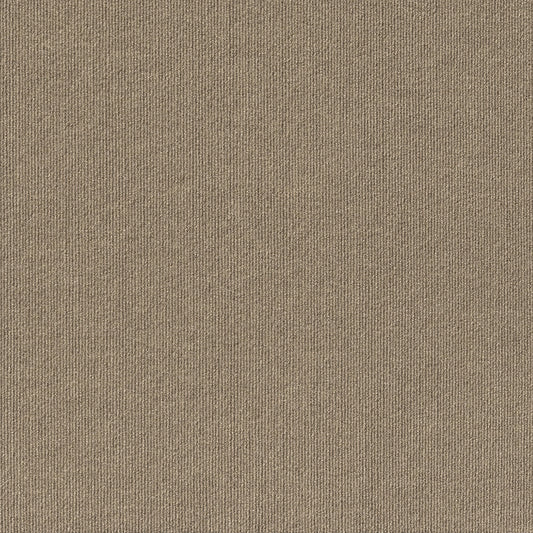 Foss Floors Taupe 24'âˆšÂ¢Â¬Ã„Â¬Ã´ x 24âˆšÂ¢Â¬Ã„Â¬Ã´' Peel and Stick Indoor/Outdoor Starboard Carpet Tile 60 sq ft 15 Piece