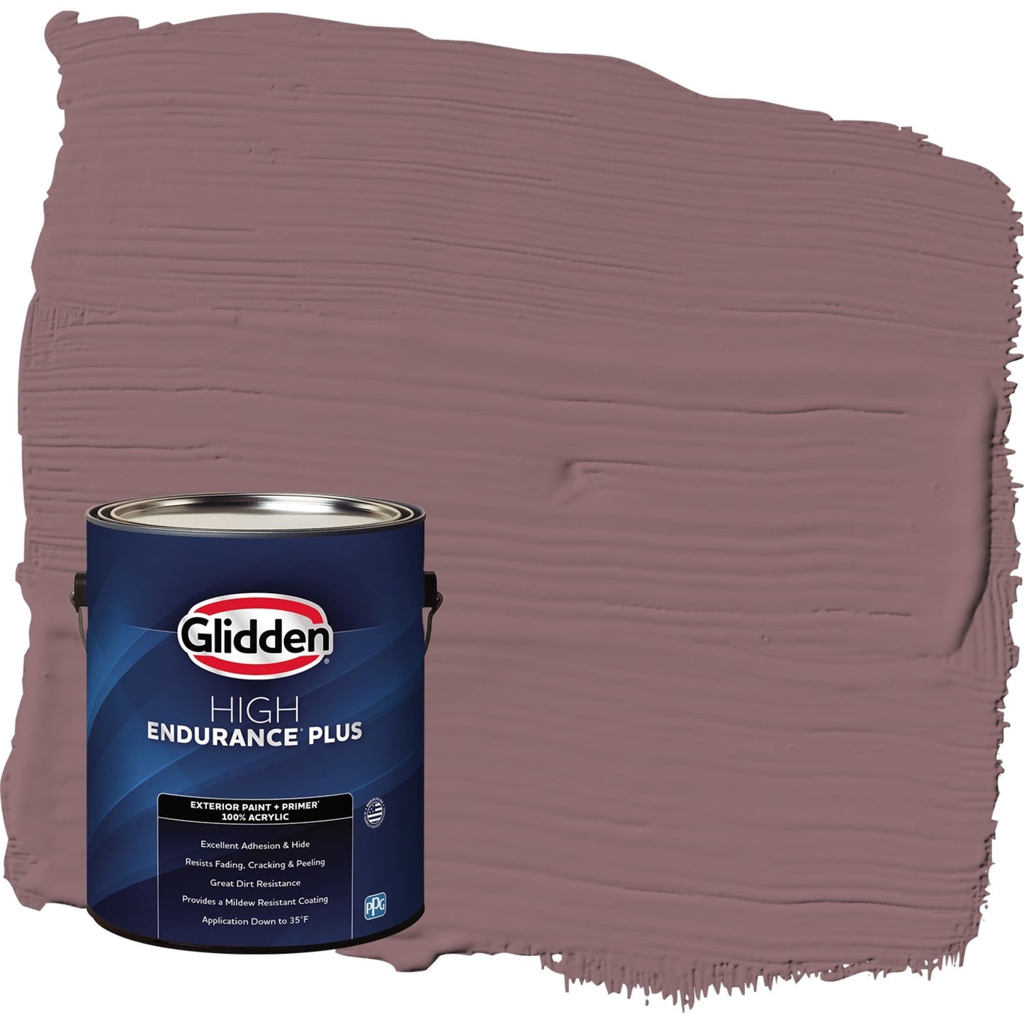 Glidden HEP Chocolate Sparkle / Purple Satin Exterior Paint with Primer, 1 Gallon