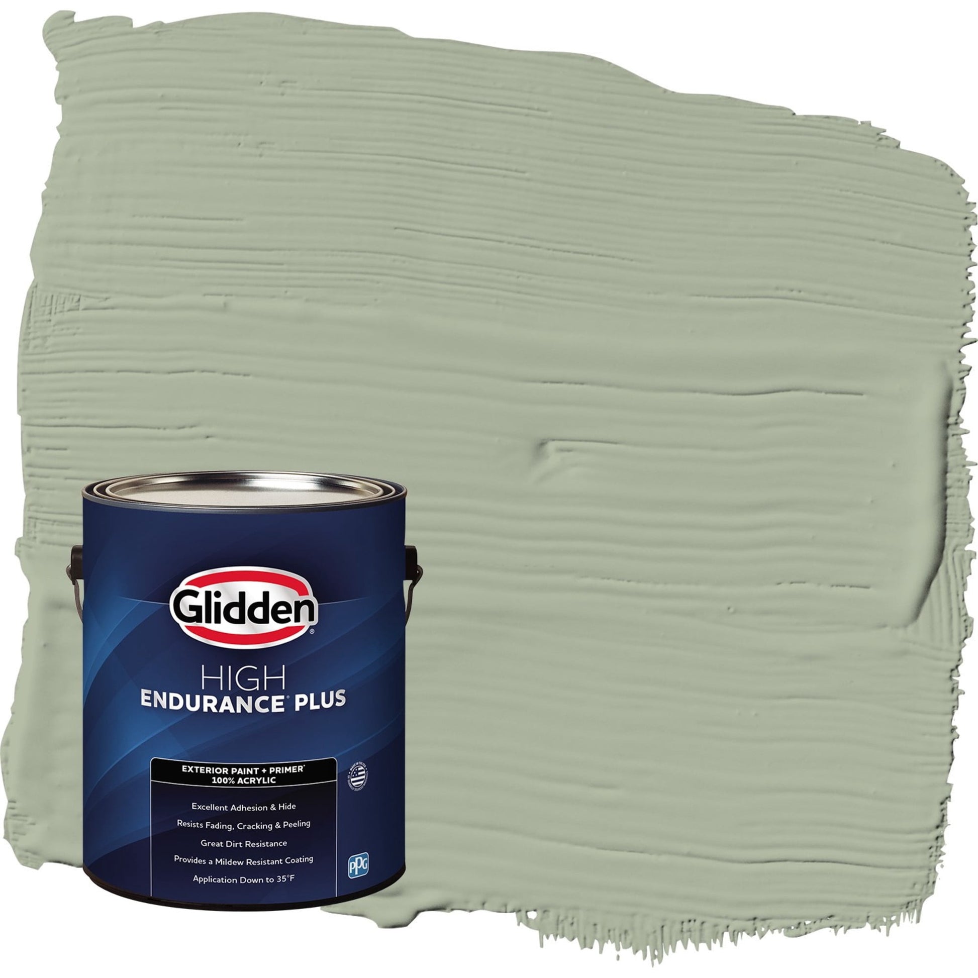 Glidden HEP Gargoyle / Green Flat Exterior Paint with Primer, 1 Gallon