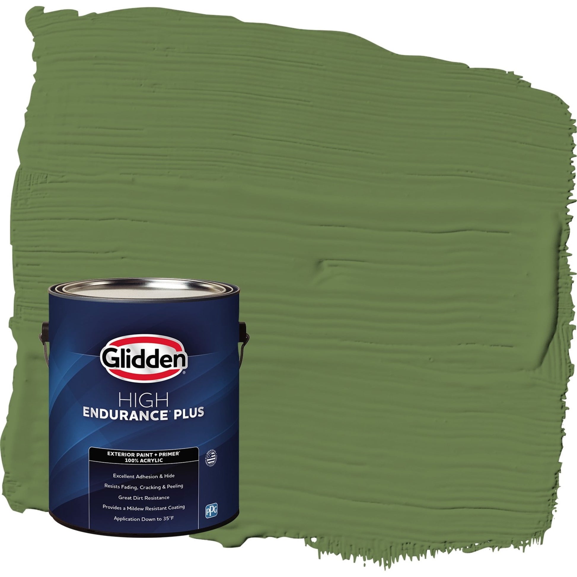 Glidden HEP Mint Leaves / Green Satin Exterior Paint with Primer, 1 Gallon