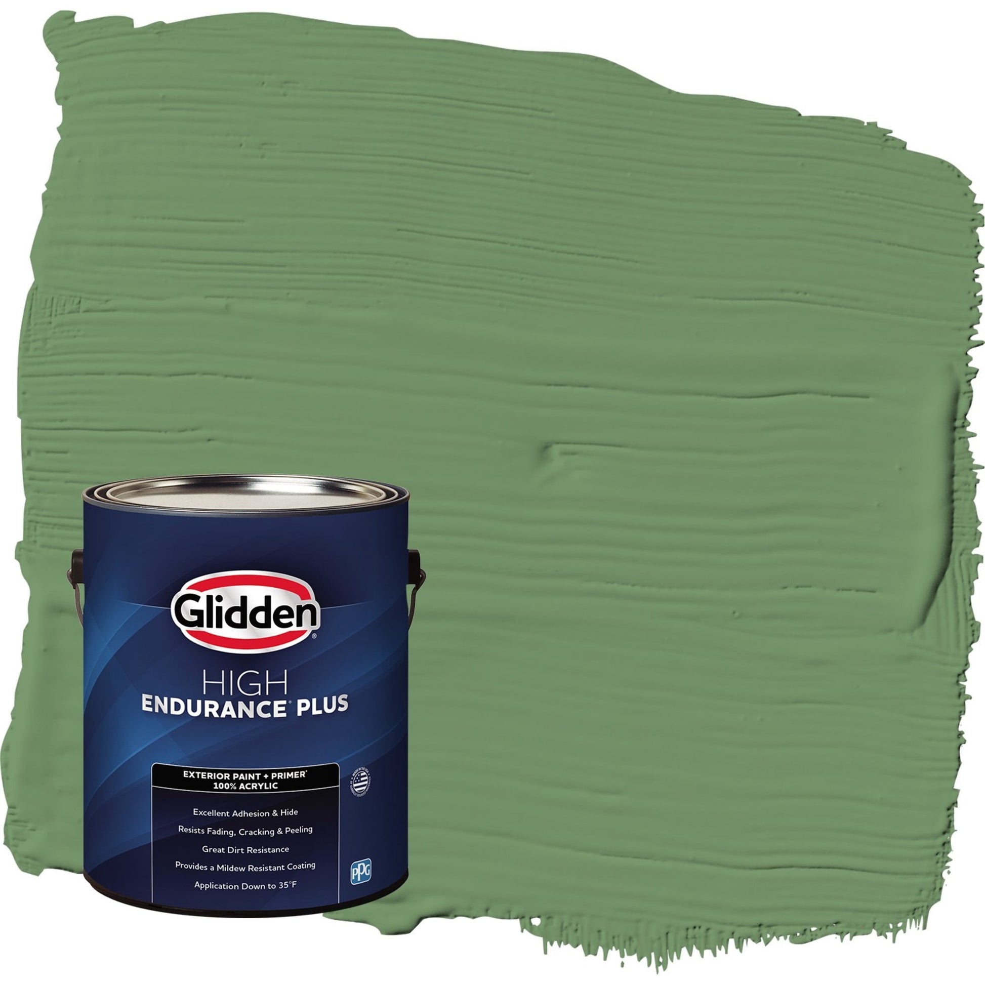 Glidden HEP Moss Ring / Green Satin Exterior Paint with Primer, 1 Gallon