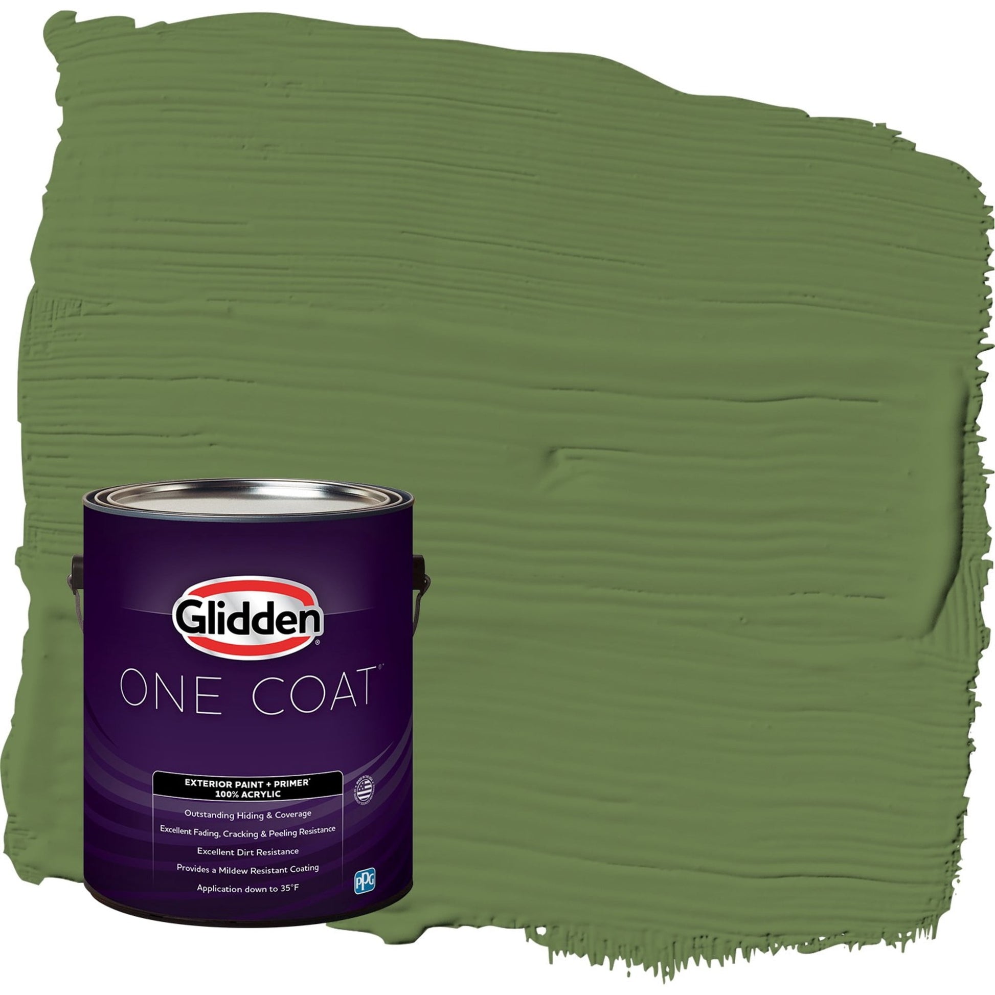 Glidden One Coat Mint Leaves / Green Satin Exterior Paint with Primer, 1 Gallon