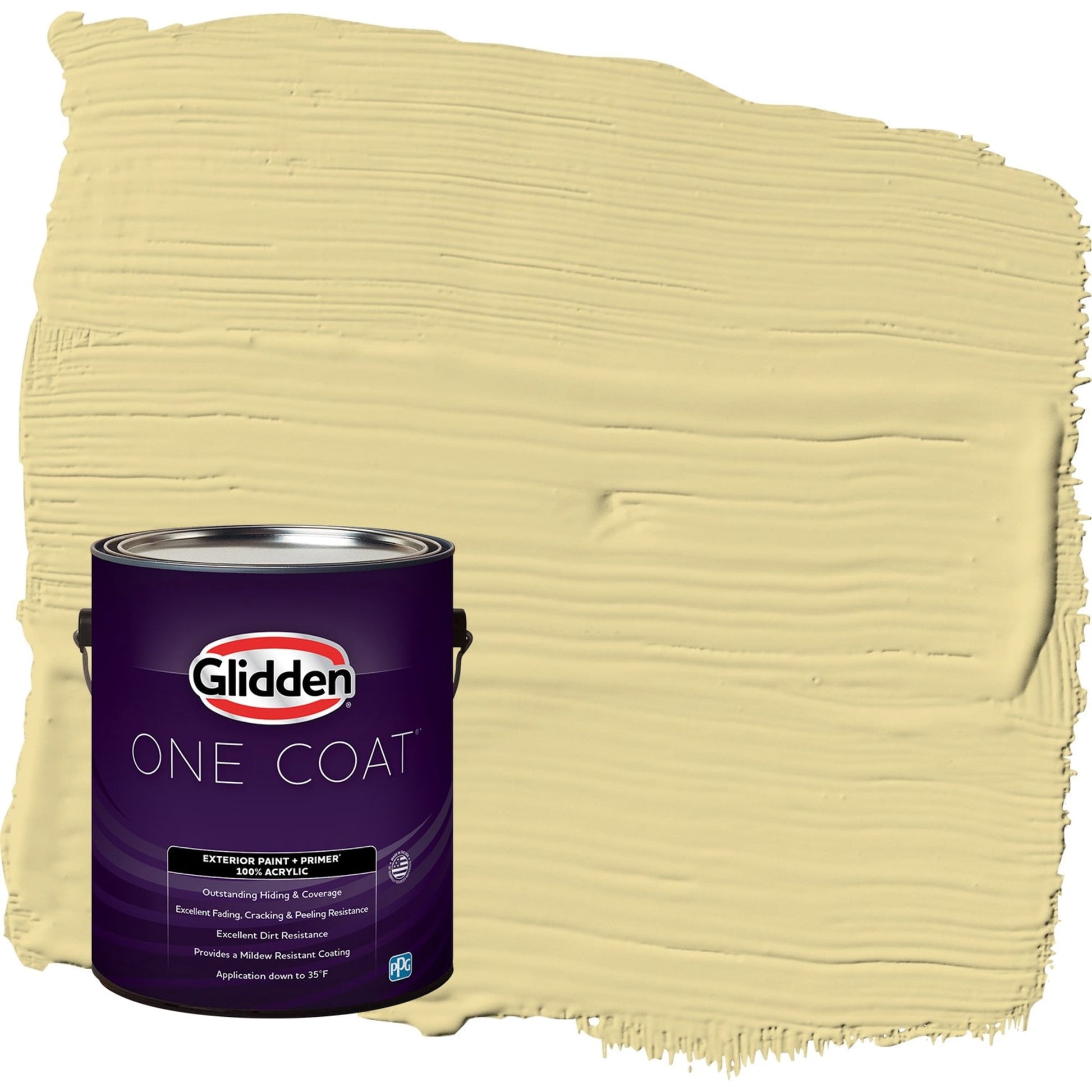 Glidden One Coat Twinkle Toes / Green Satin Exterior Paint with Primer, 1 Gallon