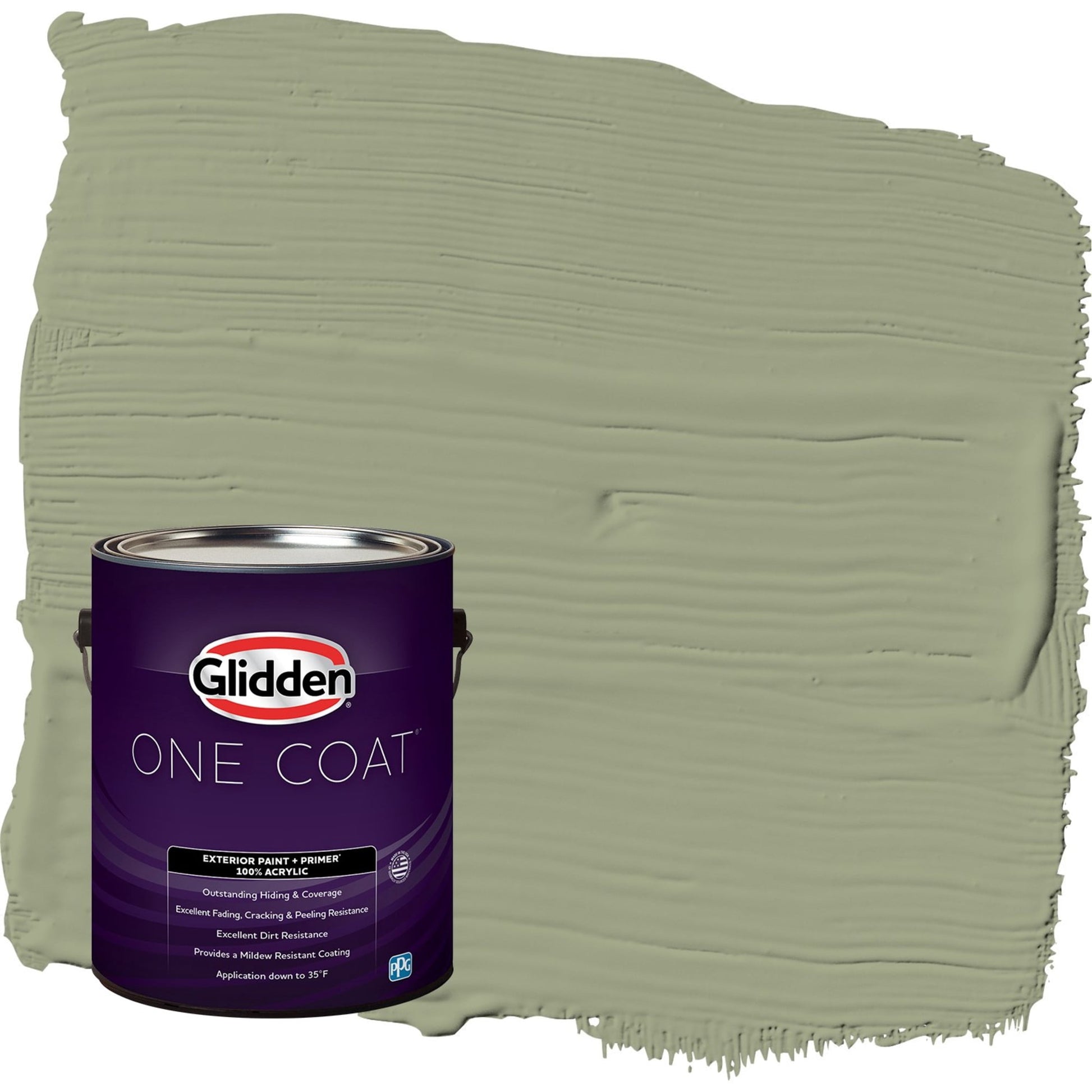 Glidden One Coat Zebra Grass / Green Satin Exterior Paint with Primer, 1 Gallon