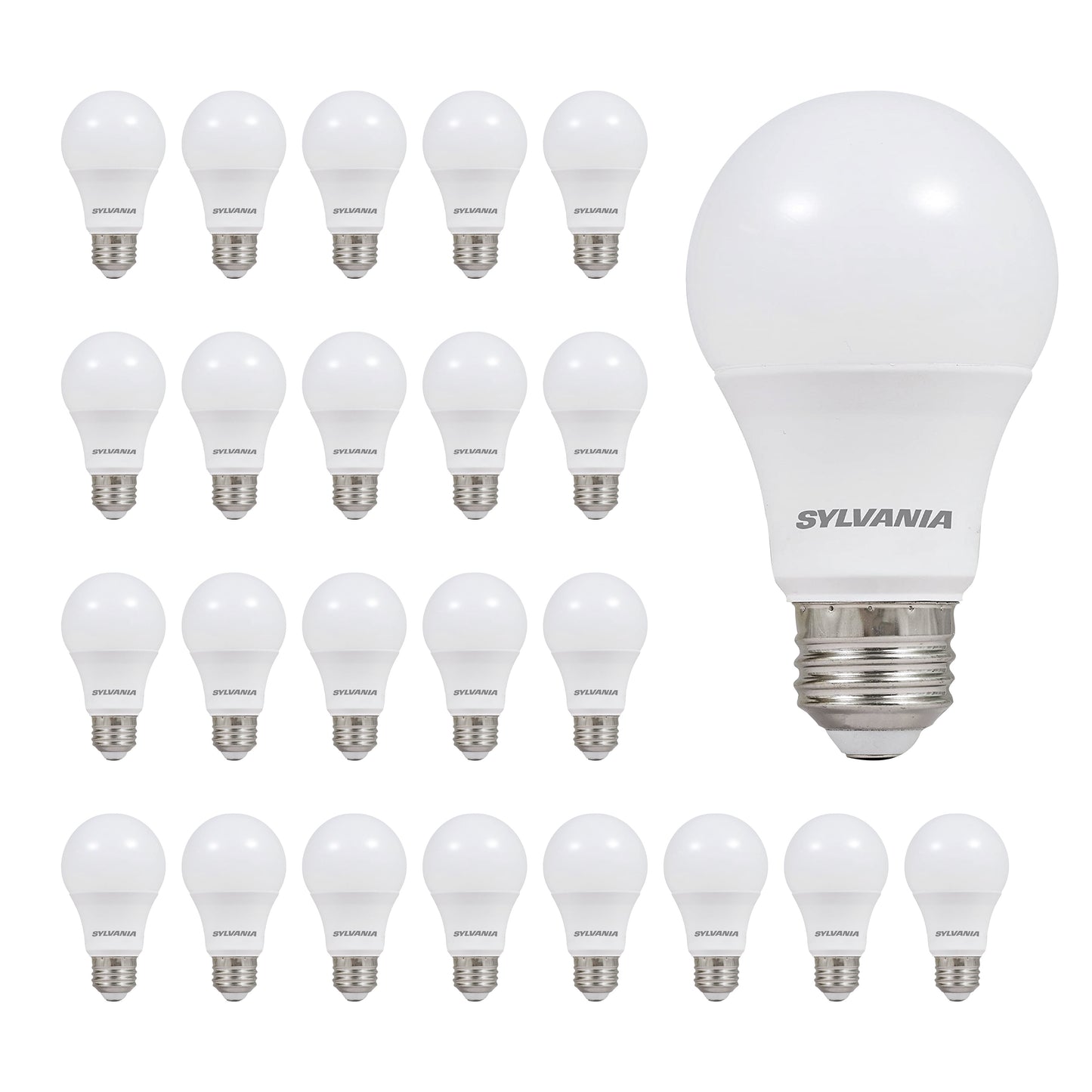 Sylvania Everyday LED Light Bulbs, A19 60-Watt, E26, Daylight, 24 pack - Value Pack