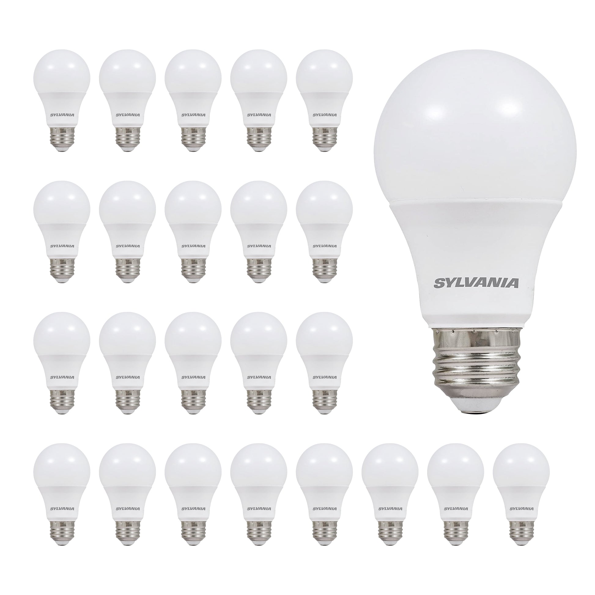 Sylvania Everyday LED Light Bulbs, A19 60-Watt, E26, Daylight, 24 pack - Value Pack