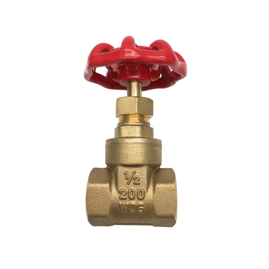 THEWORKSÂ® Heavy Pattern Brass Threaded Gate Valve, 1" FIP x FIP
