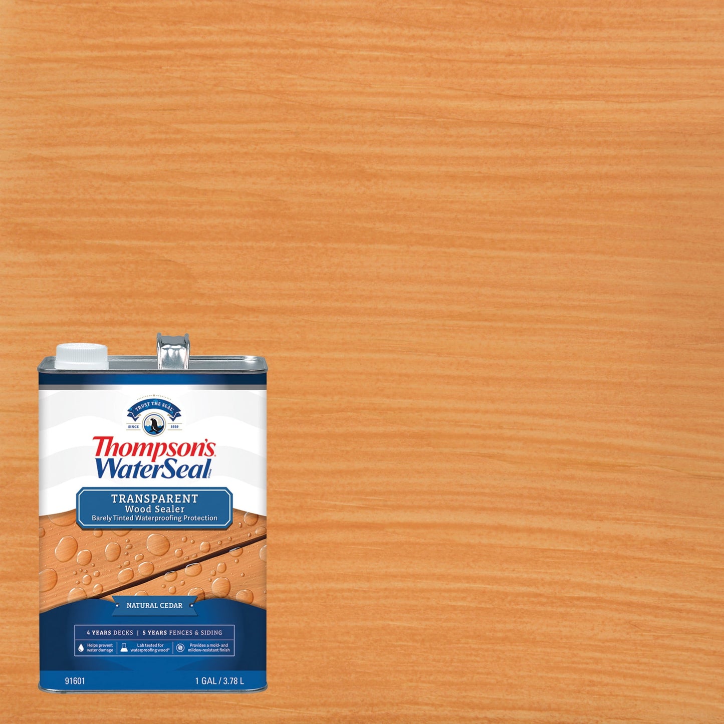 Thompson's WaterSeal Transparent Wood Sealer, Natural Cedar, 1 Gallon