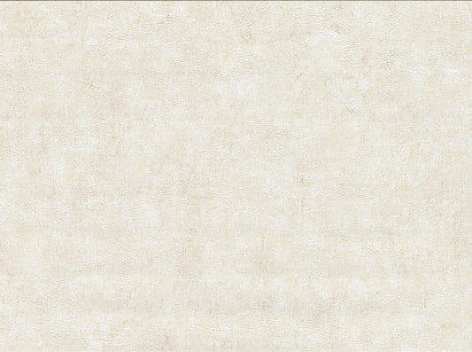 Warner Textures Clegane Light Grey Plaster Texture Unpasted Fabric Backed Vinyl Wallpaper, 27-in by 27-ft, 60.8 sq. ft.
