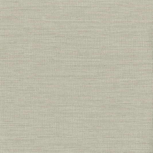 Warner Textures Giana Beige Horizontal Silk Wallpaper
