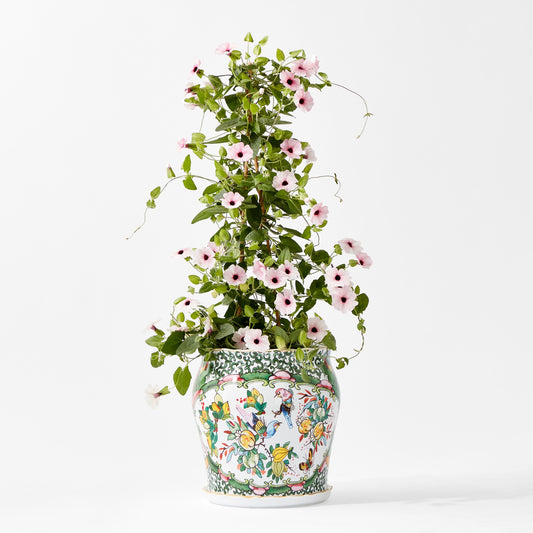 Famille Rose Planter Collection,Medium,
