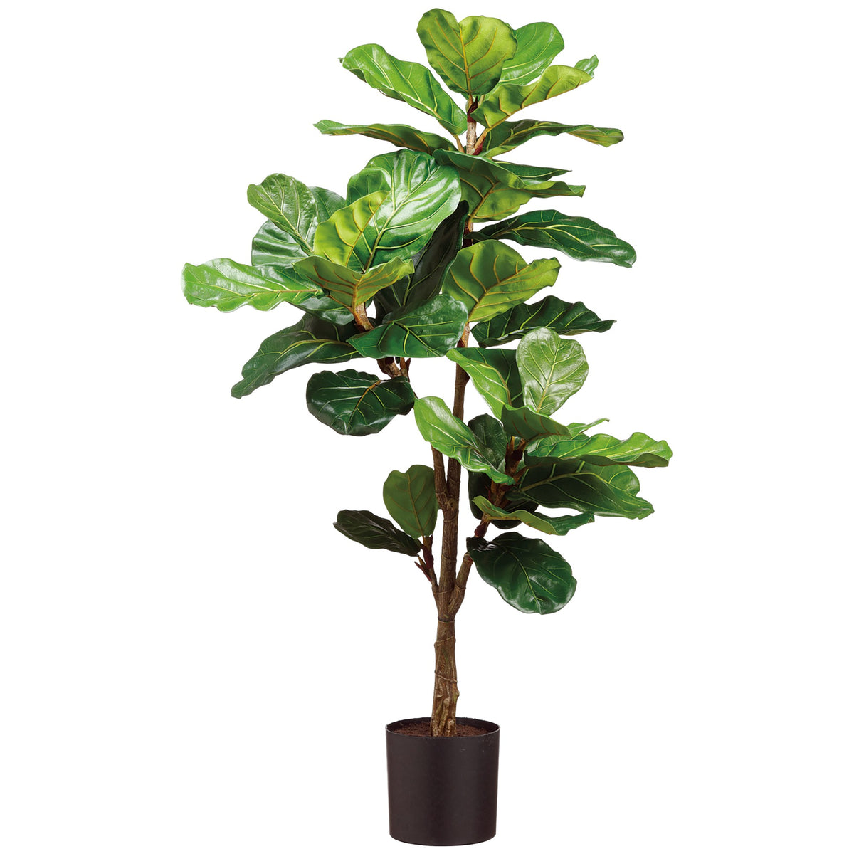Faux Fiddle Leaf Plant in Plastic Pot, 56'",WSNOADS,Live & Faux Plants