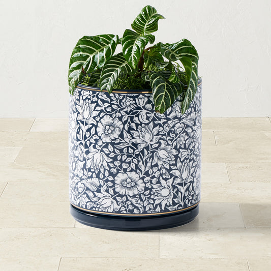 Morris & Co. x Williams Sonoma Ceramic Planter Collection,& Co. x Williams Sonoma Ceramic Planter\, Small,