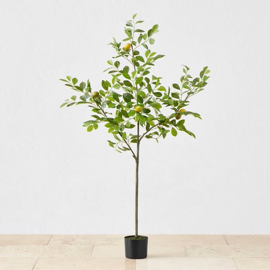 Faux Lemon Tree, 3'-5',5',