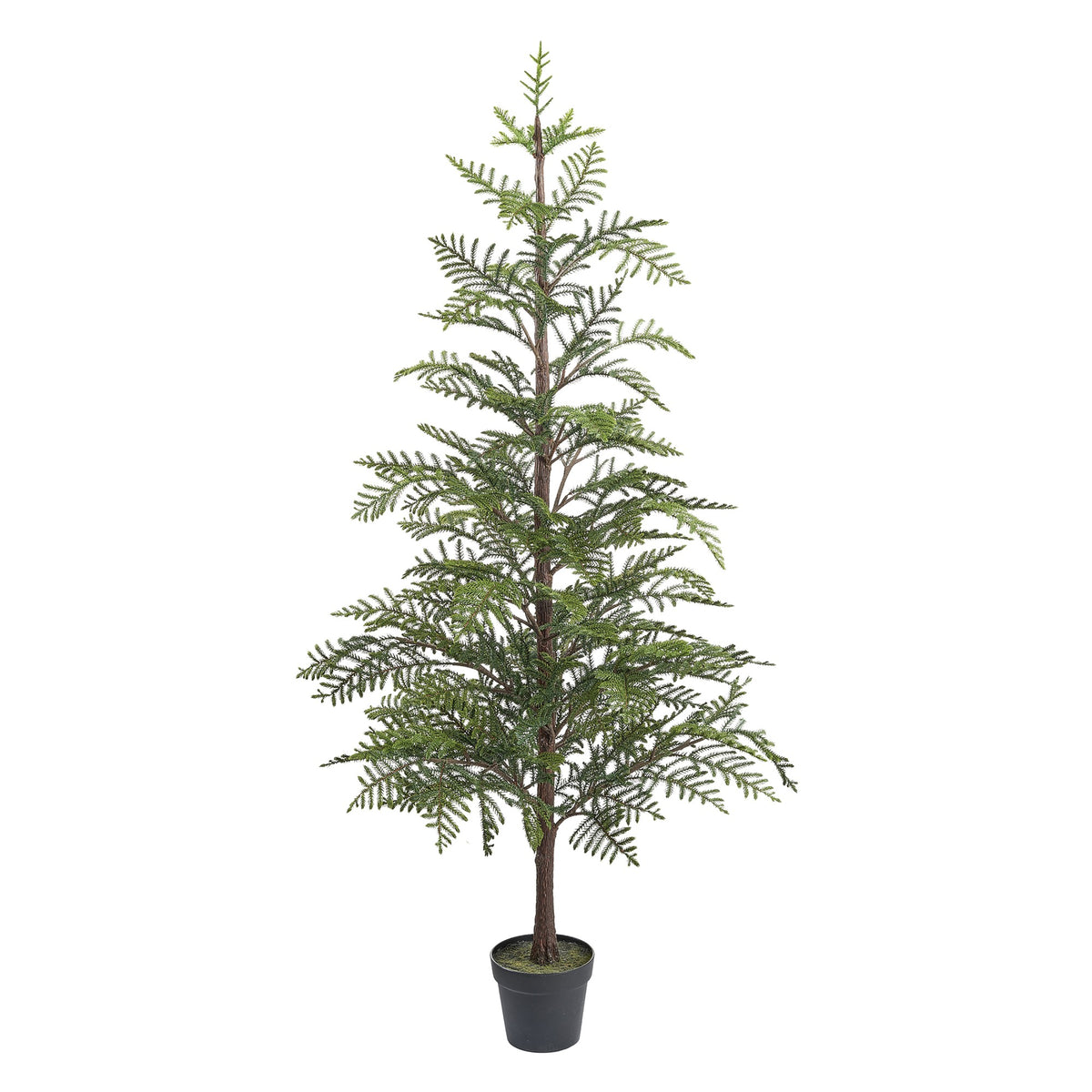 Faux Norfolk Pine Tree in Pot, 72",WSNOADS,Live & Faux Plants
