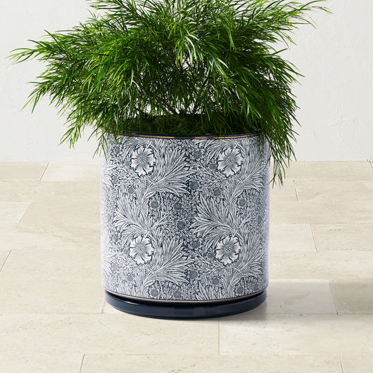 Morris & Co. x Williams Sonoma Ceramic Planter Collection,& Co. x Williams Sonoma Ceramic Planter\, Large,