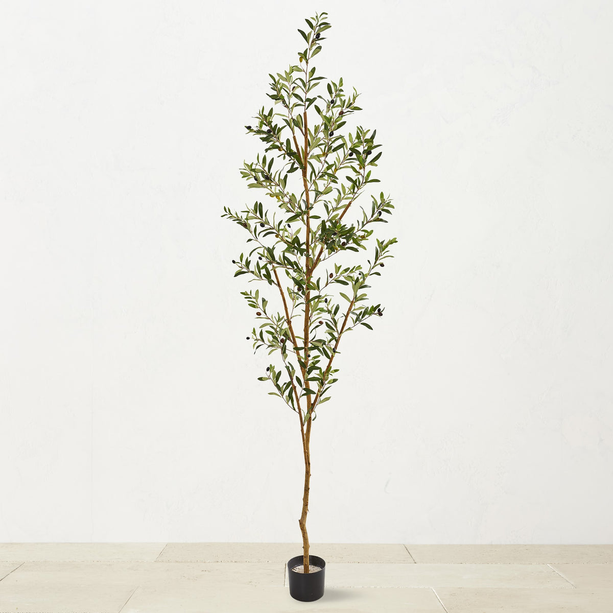 Faux Indoor Olive Tree, 82",WSNOADS,Live & Faux Plants