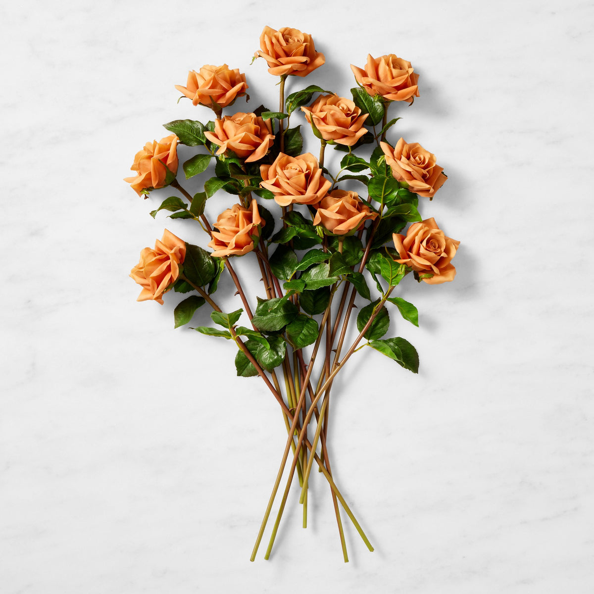 Jeff Leatham x Williams Sonoma Real Touch Faux Toffee Rose Stems, Set of 12,,WSNOADS