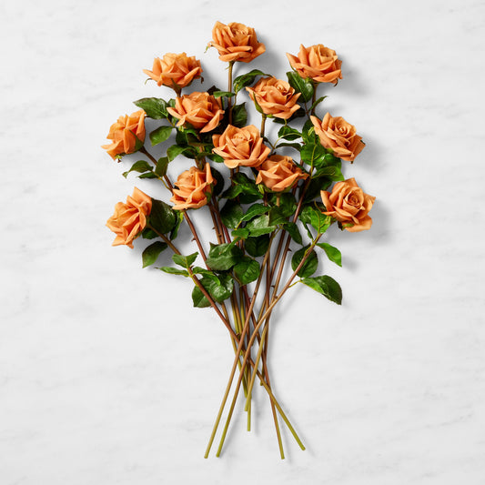Jeff Leatham x Williams Sonoma Real Touch Faux Toffee Rose Stems, Set of 12,,WSNOADS