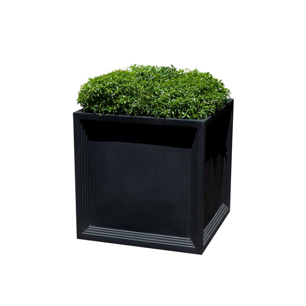 Sandhurst Planter,Black,Small